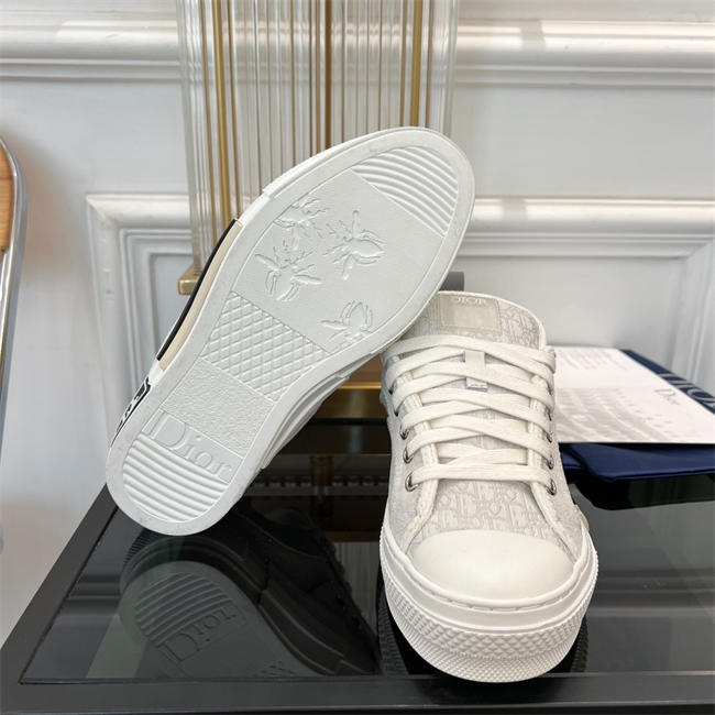 Dior B23 Low Top