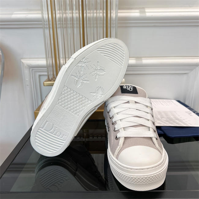 Dior B23 Low Top