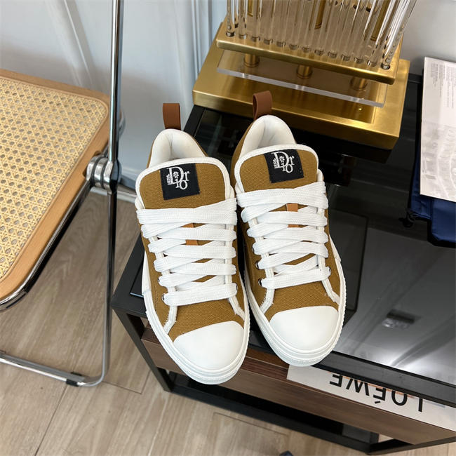 Dior B23 Low Top