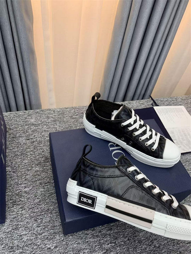 Dior B23 Low Top