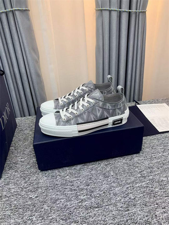 Dior B23 Low Top
