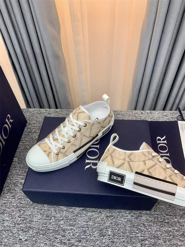 Dior B23 Low Top