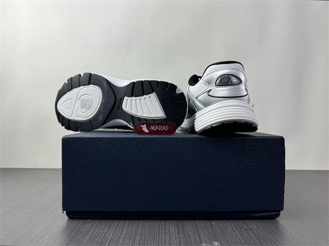 D1or B30 Sneaker sliver